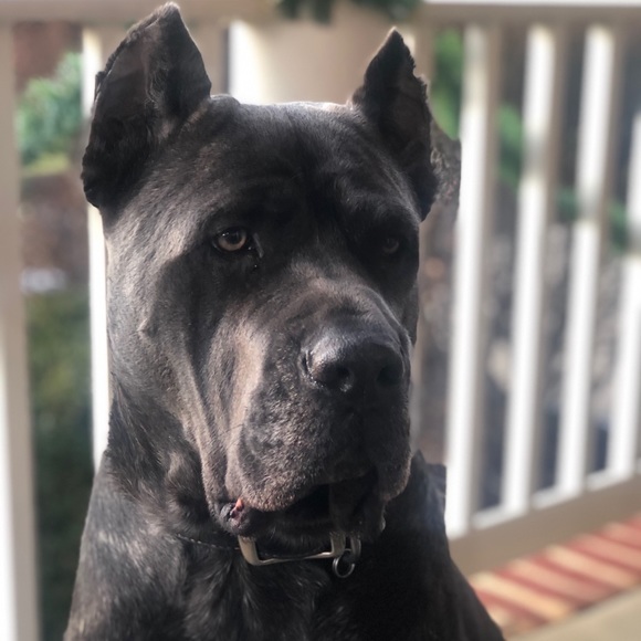 Meet Your Posher - Picture 8 of 10